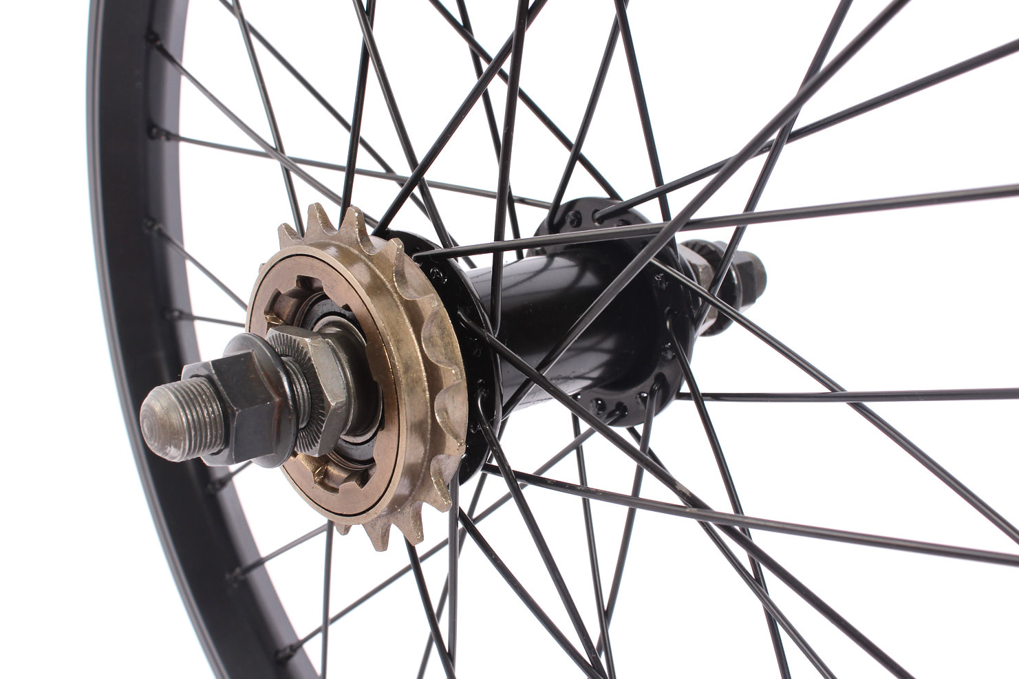 Nahaufnahme Freilaufnabe mit 16 Zahn Ritzel 