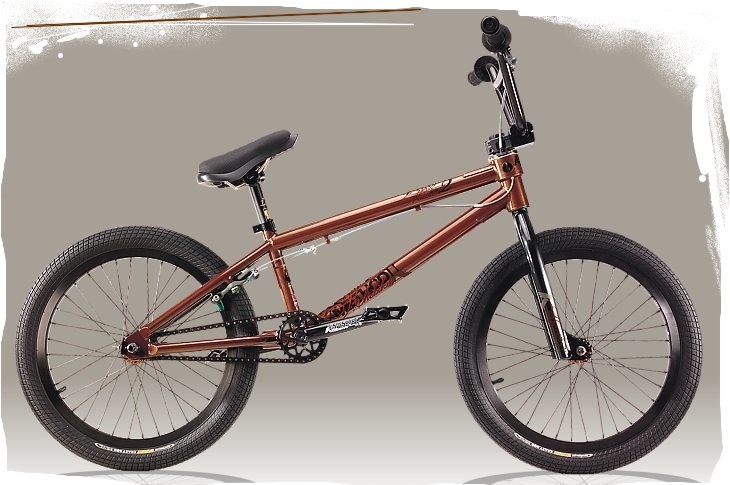 06-bi-me-1-730